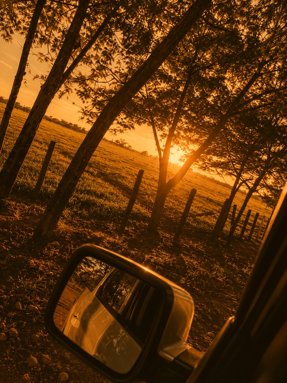 Atardecer en la hacienda