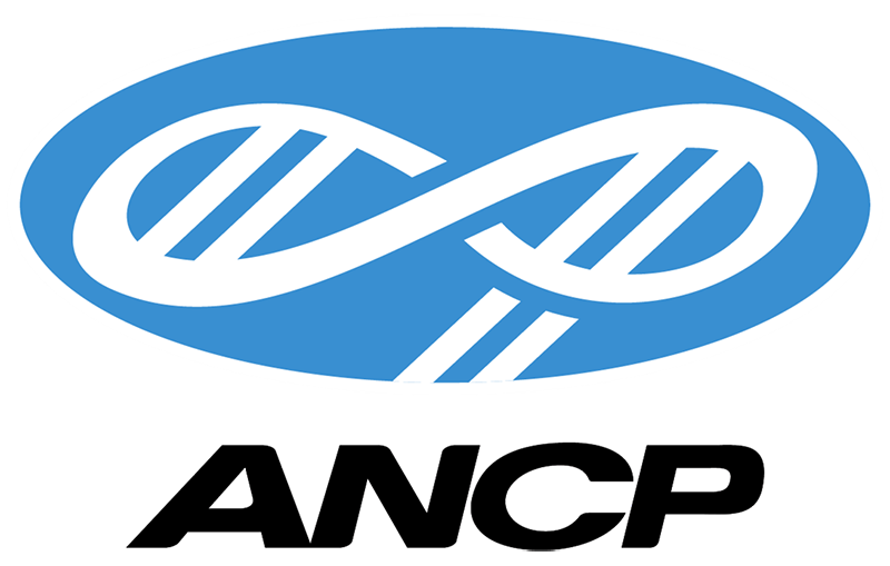 Logo ANCP
